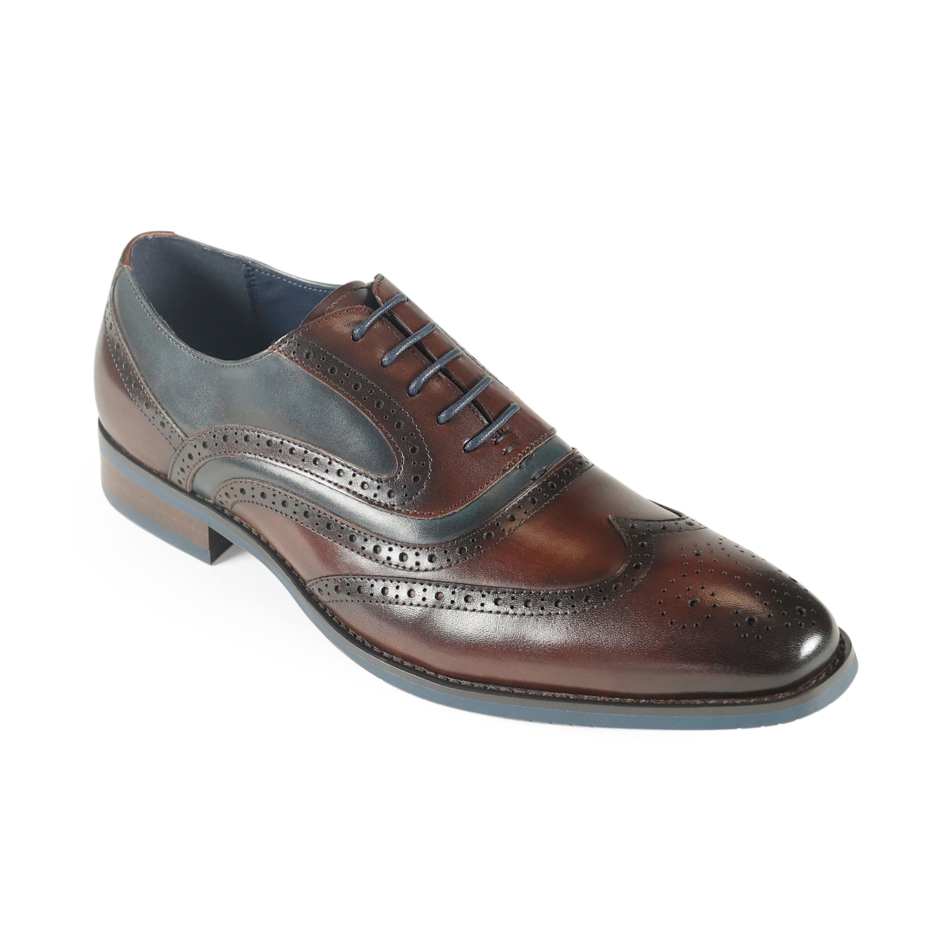 Azor Webster Shoe Brown/Navy