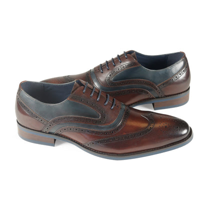 Azor Webster Shoe Brown/Navy