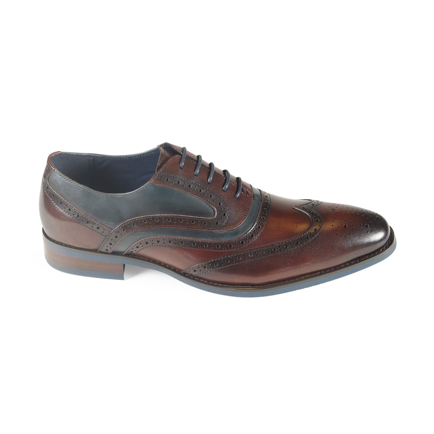 Azor Webster Shoe Brown/Navy