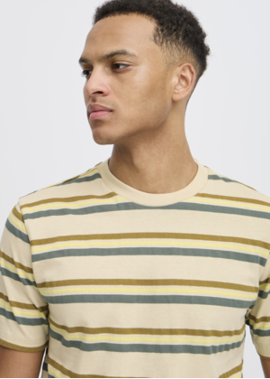 Striped Cotton T-Shirt