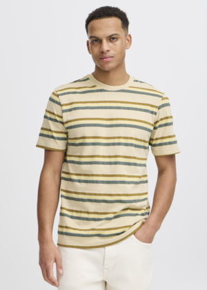 Striped Cotton T-Shirt