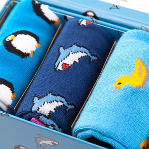 What The Duck Sock Box