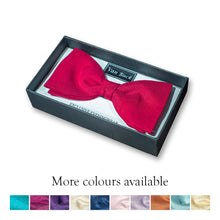 Load image into Gallery viewer, Van Buck Bow Tie Various Colours
