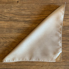 Load image into Gallery viewer, Van Buck Plain Pocket Square
